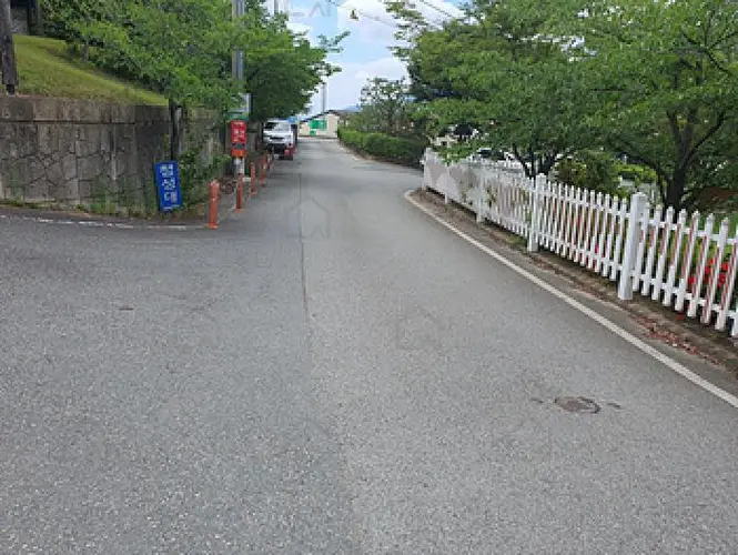 B000420202501300115669.jpg