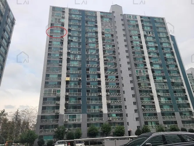 관련사진