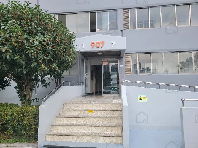 관련사진