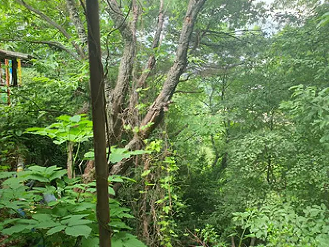 B0004202025013001156612.jpg