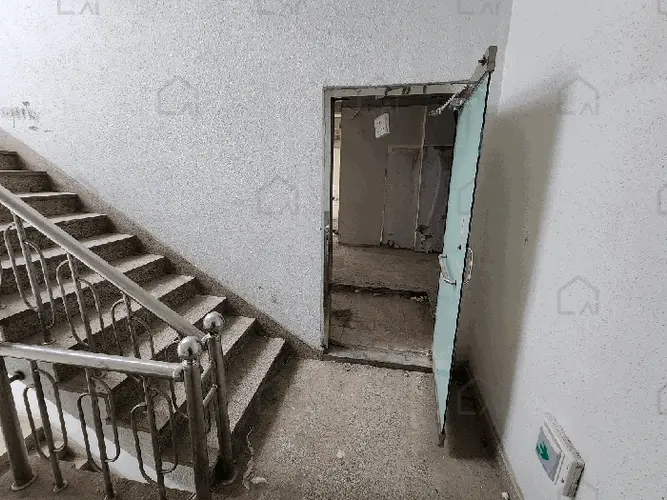 관련사진