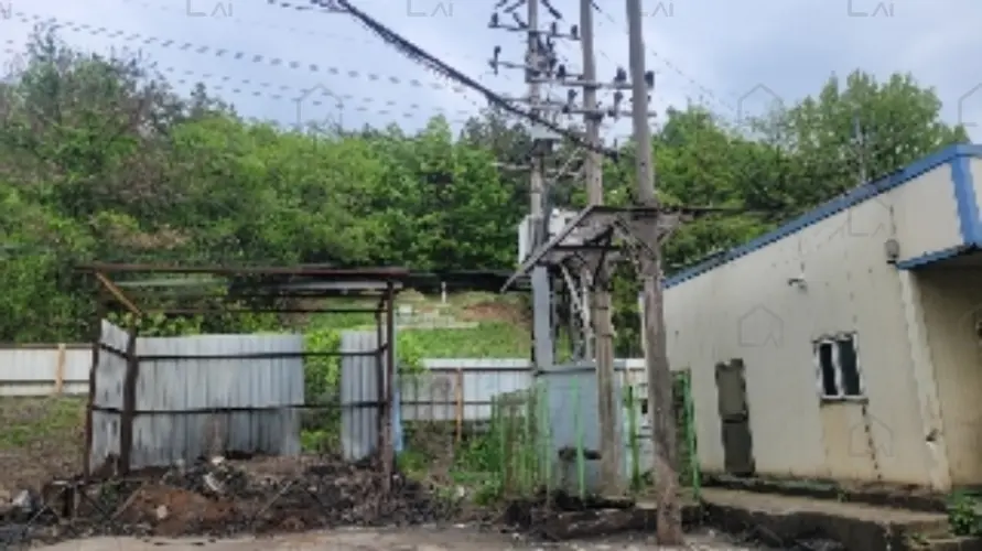 B000431202401300007156.jpg