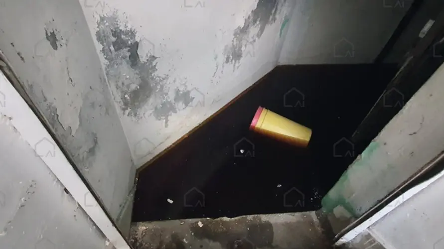 관련사진