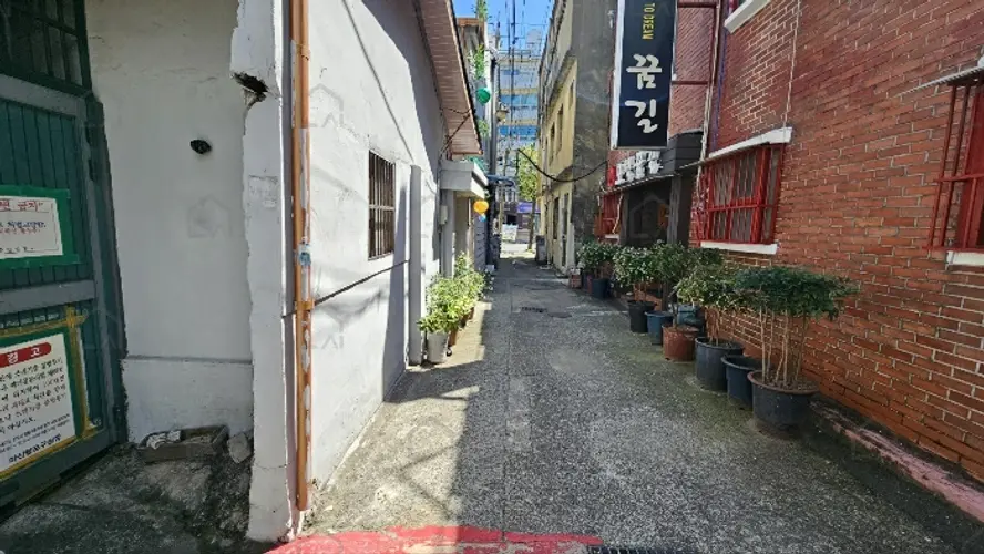 관련사진