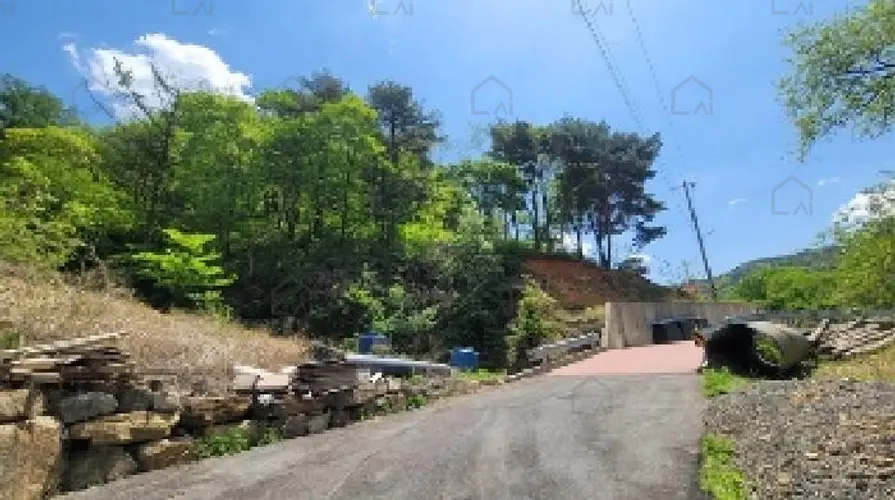 B0004312025013002049320.jpg