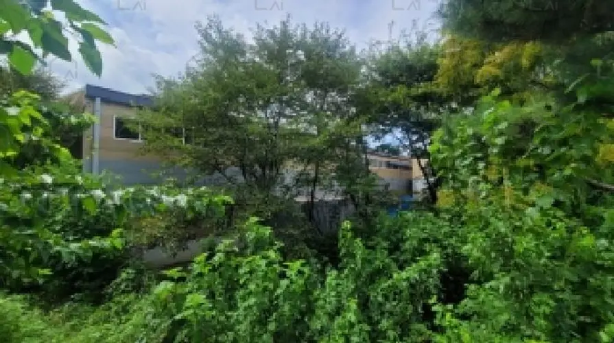 B0004312025013002076796.jpg