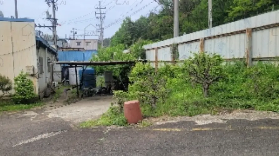 B0004312024013000071511.jpg