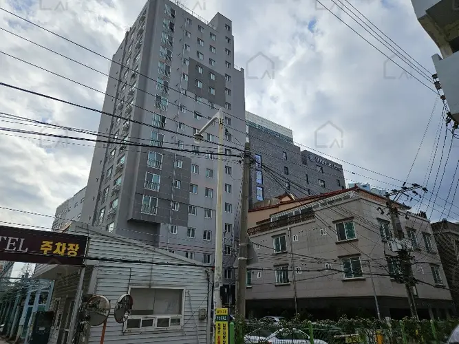 관련사진