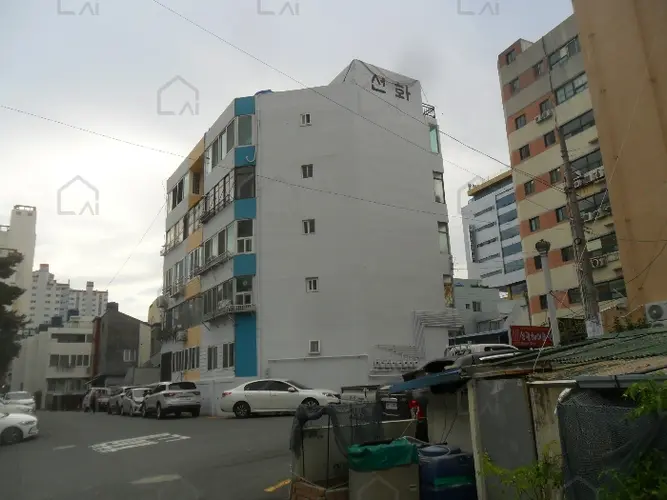 관련사진