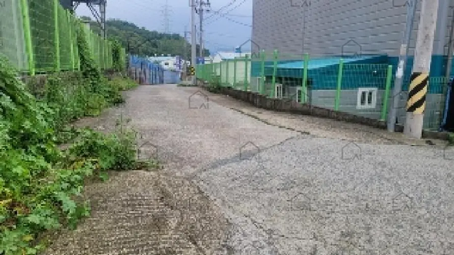 B0004312024013010355335.jpg