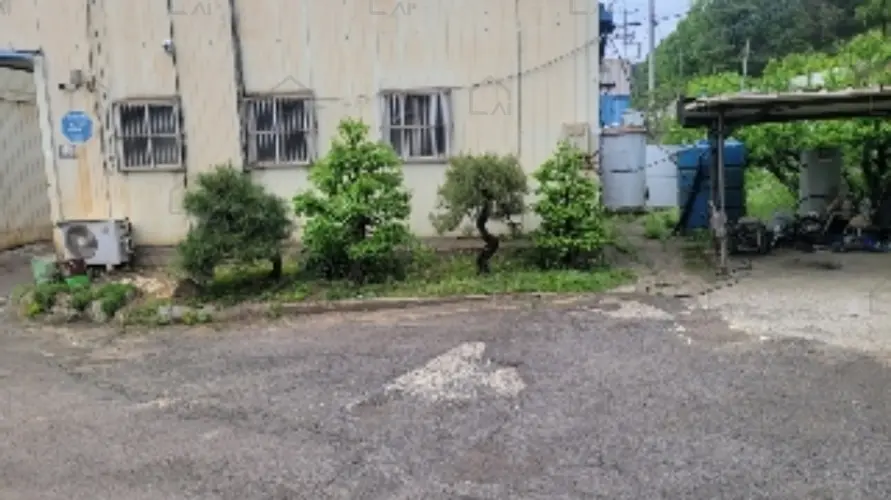 B000431202401300007159.jpg