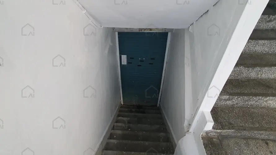 관련사진