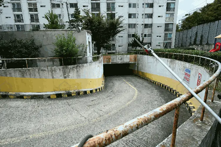 관련사진