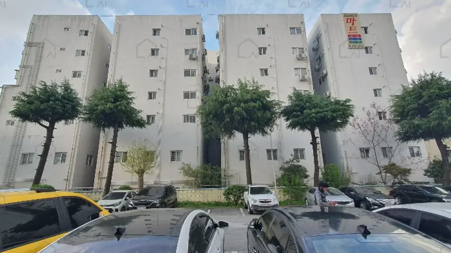 관련사진