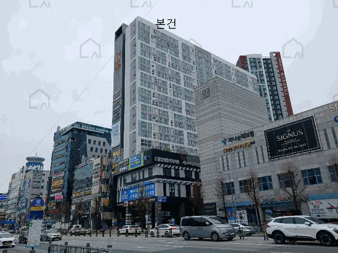 관련사진