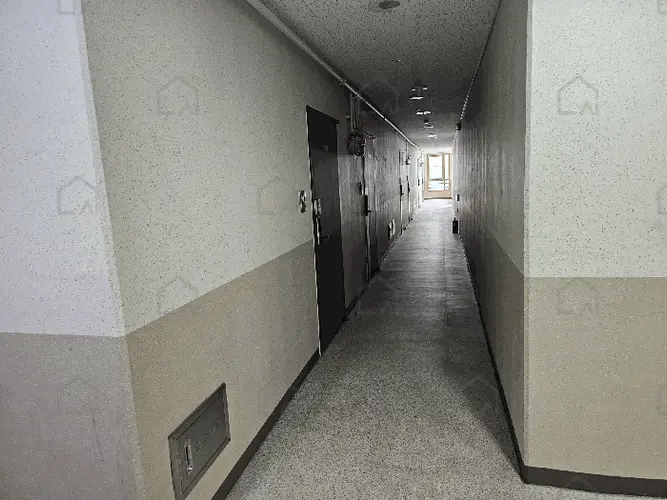 B000510202501300331589.jpg