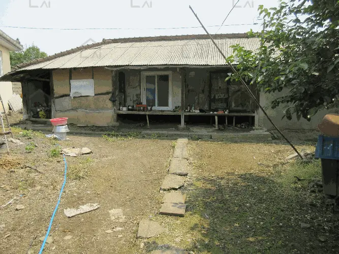 B000510202501300326866.jpg