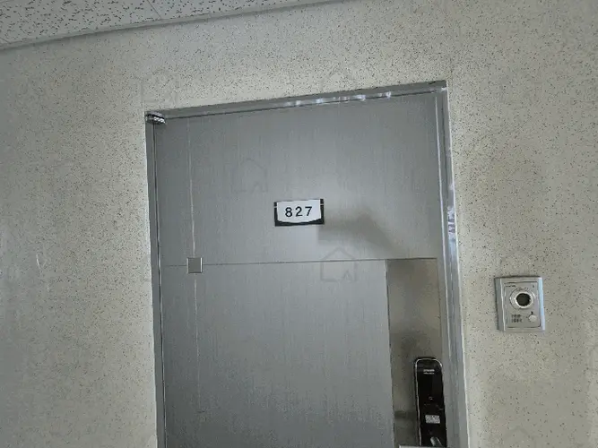 B000510202501300333738.jpg