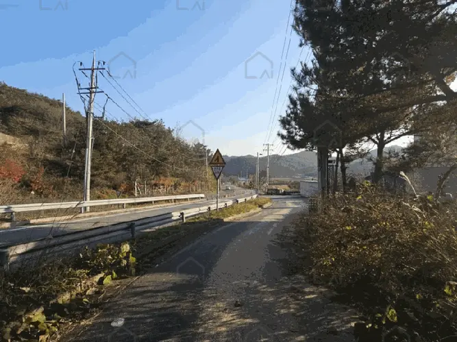 B000510202501300343699.jpg