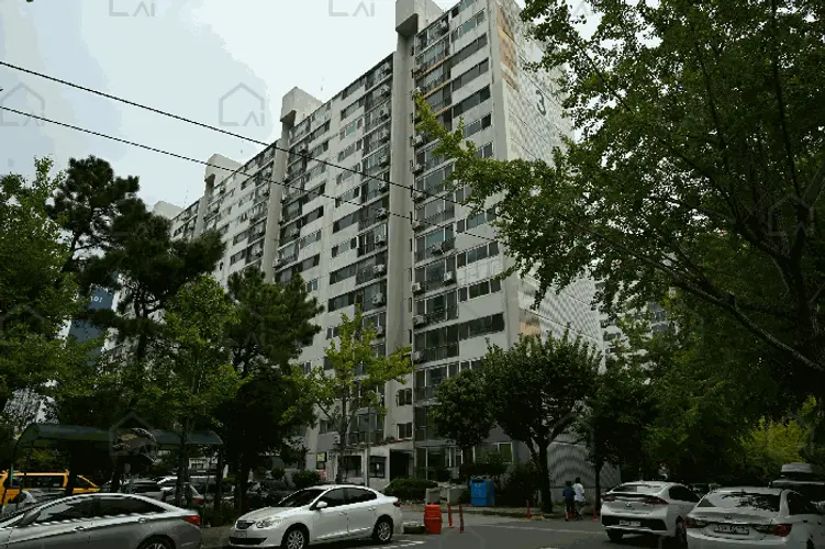 관련사진