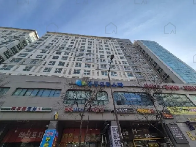 관련사진