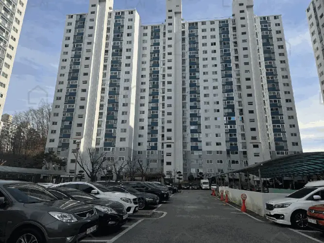 관련사진