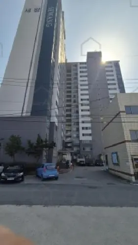 관련사진