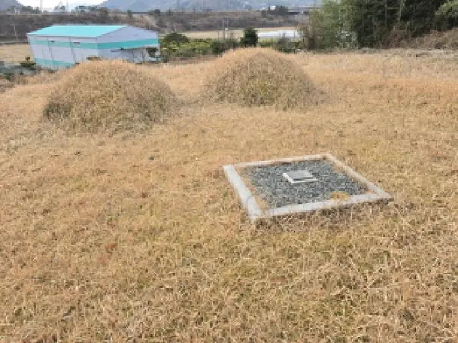B000512202501300053765.jpg