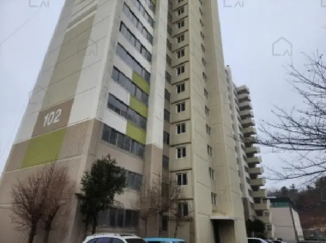 관련사진