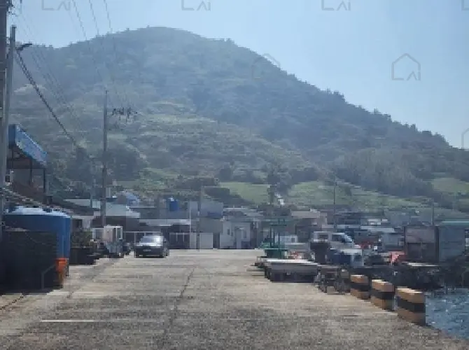 관련사진