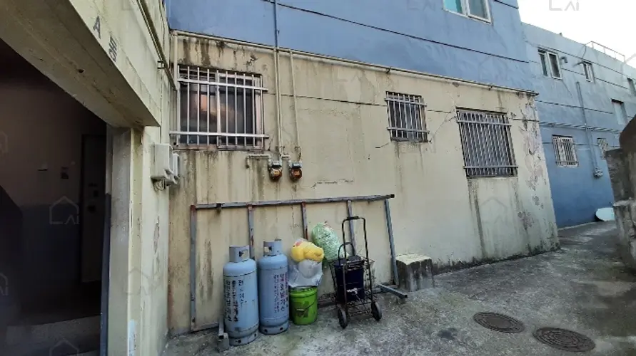 관련사진