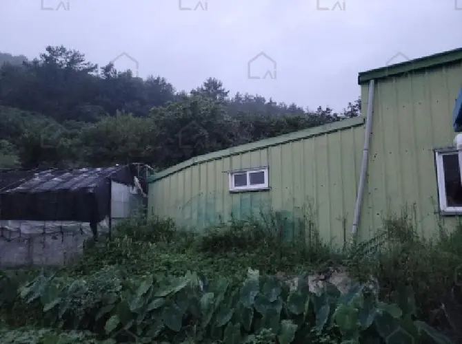 관련사진