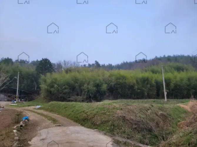 B000513202401300525193.jpg
