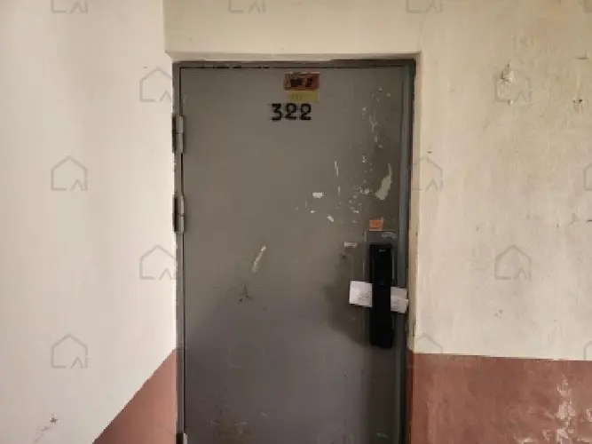 관련사진