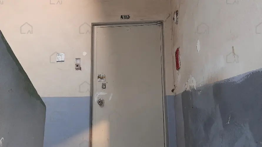 관련사진
