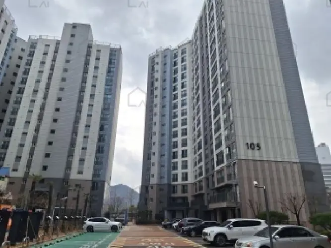 관련사진