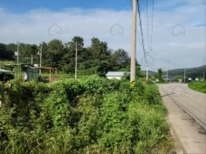 B000513202501300005932.jpg