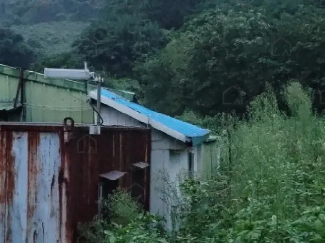 관련사진