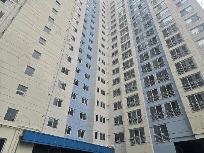 관련사진