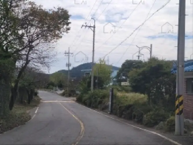 B000513202501300520671.jpg