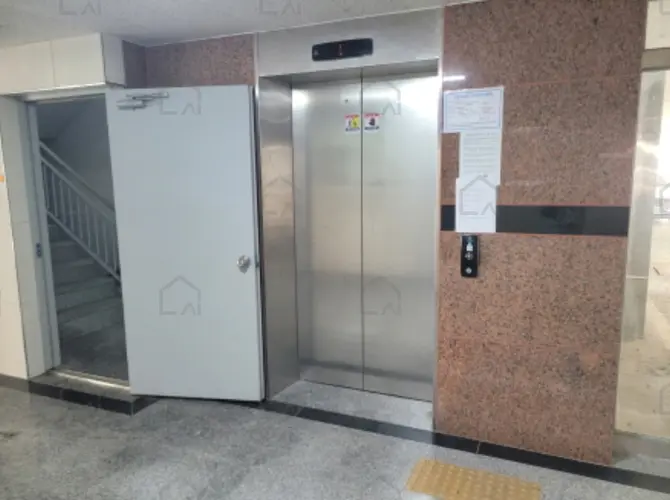 관련사진