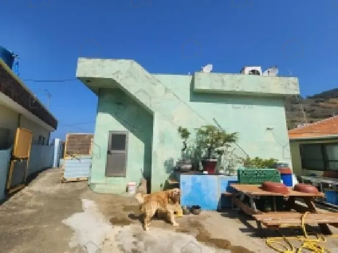 관련사진
