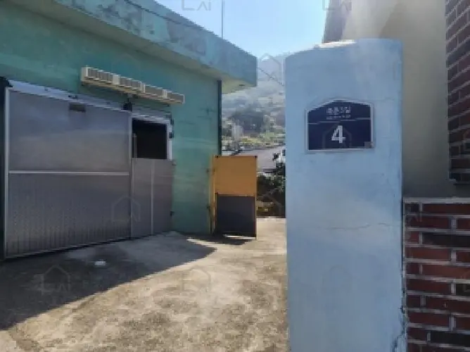 관련사진