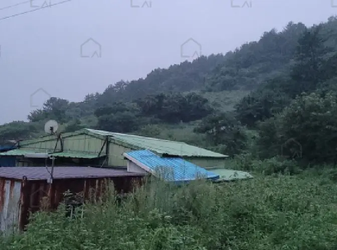 관련사진