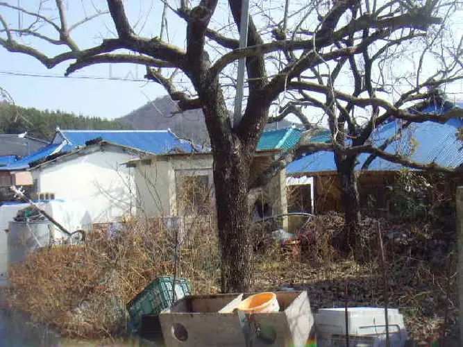 B000514202501300503434.jpg