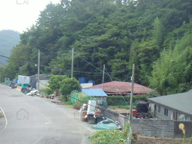 B000514202401300540446.jpg