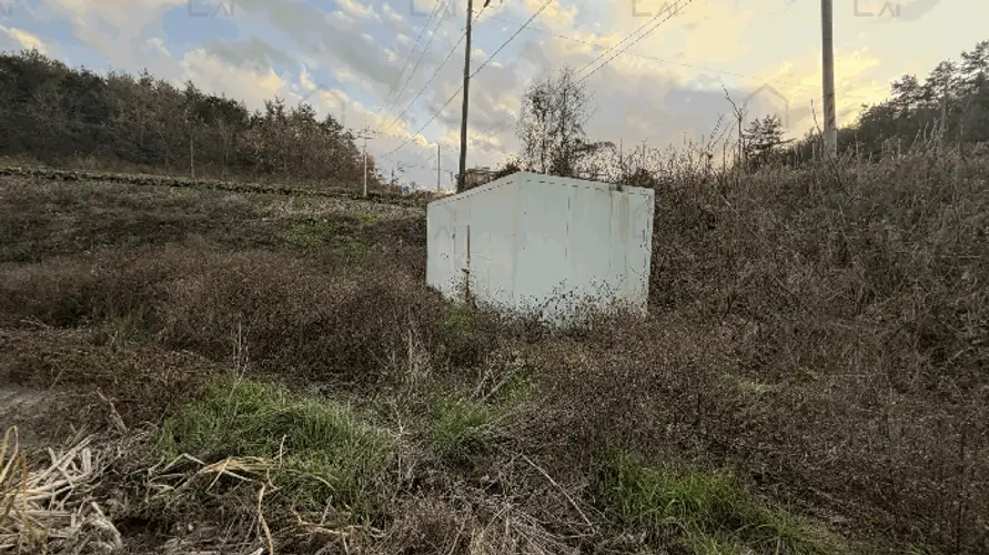 B0005142025013000179510.jpg
