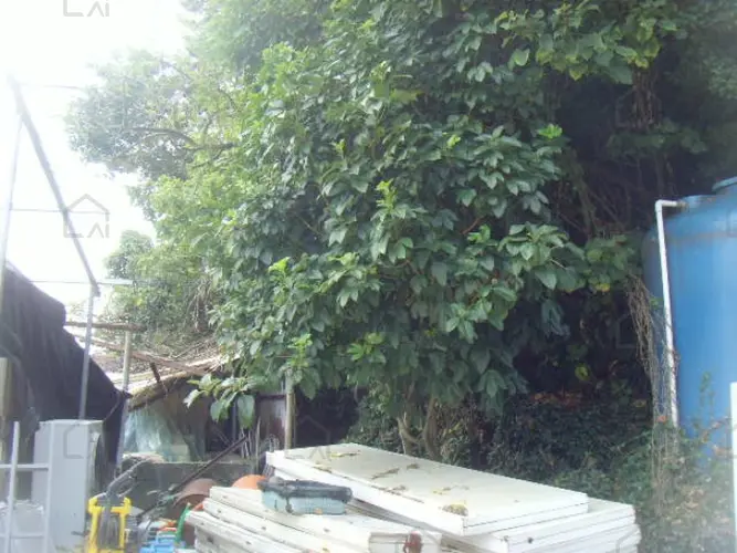 B000514202401300540444.jpg
