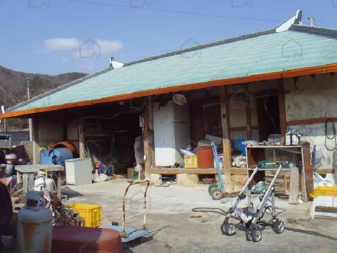 B0005142025013005034311.jpg
