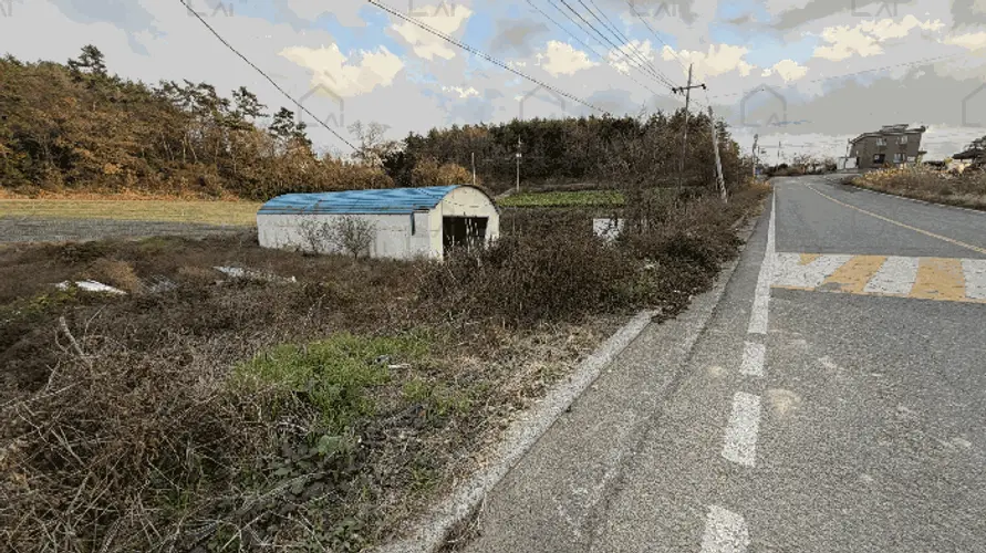 B000514202501300017958.jpg